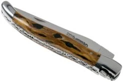 Laguiole En Aubrac 12cm Double Plates, Hand-filed Cactus, L0712CA51-FSI1 13 Laguiole En Aubrac 12cm Double Plates, Hand-filed Cactus, L0712CA51-FSI1 -Knife AUL0712CA51 FSI1 04 laguiole en aubrac v202010