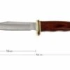 Buck 102 Woodsman 0102BRS-B Fixed, Cocobolo 1 Buck 102 Woodsman 0102BRS-B Fixed, Cocobolo -Knife BUCK0102BRS B 01 buck 102 woodsman buck0102brs b 01