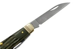 Case Mini Trapper Buffalo Horn 65093, S35VN Pocket Knife -Knife CE65093 05 case