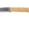 Casström Woodsman Knife Curly Birch, K720 Scandi Grind 10824 With Firesteel -Knife CM10824 01 casstrom cm10824 01