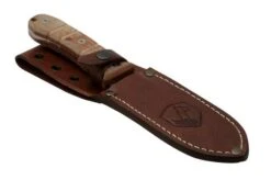 Condor Tactical P.A.S.S. Chute Knife, Fixed Knife -Knife CTK1827 105 4C 06 condor