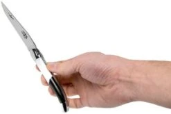 Forge De Laguiole Airbus A350 1211 INAIRBUS Laguiole Knife -Knife LA1211INAIRBUS 07 forge de laguiole