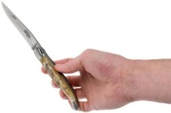 Forge De Laguiole 12 Cm 1212INBESAT Ram's Horn Laguiole Knife -Knife LA1212INBESAT 08 forge de laguiole