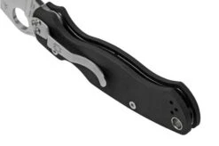 Spyderco Paramilitary 2 C81GP2 Pocket Knife -Knife SPC81GP2 04 spyderco