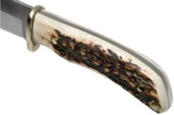 Uncle Henry Stag Horn Fixed Blade 2202UH Hunting Knife 1085923 -Knife UH1085923 05 schrade uncle henry