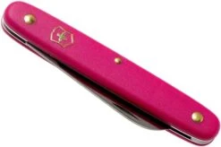 Victorinox Floral Knife 3.9050.53B1 Pink -Knife VT3 9050 53B1 04 victorinox